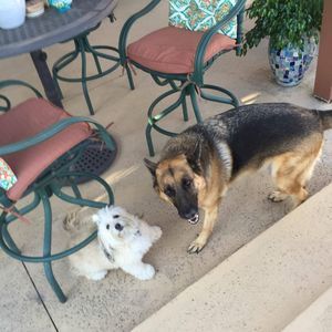 Meet your Posher, Madeline